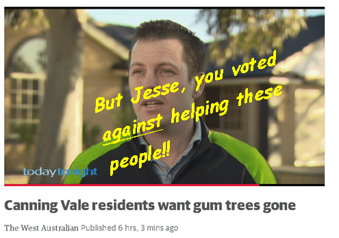 jesse-jacobs-on-canning-vale-tree-issue